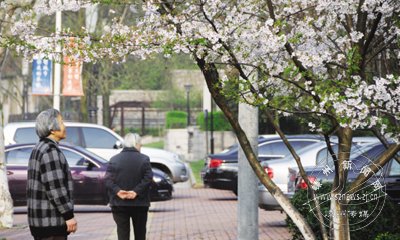 ӣ��ŭ�ű�����