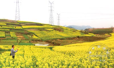 �������� �˻���