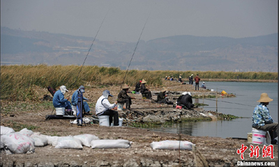 ���Ϸ����ɺ���ɫԤ��