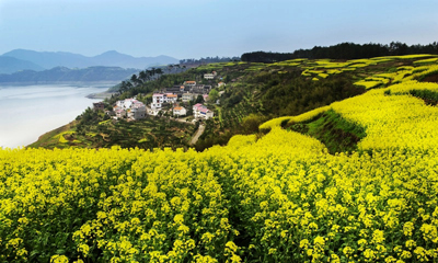 ���������㡿ɽ�廨��