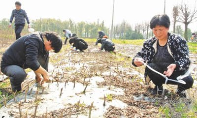 �²��޽ӹ���������Ǯ