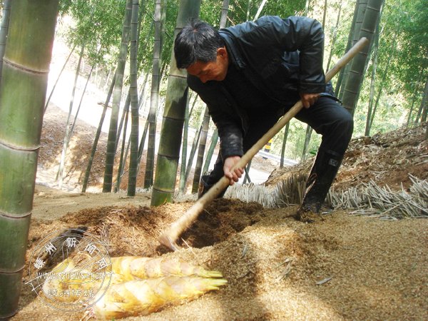 �ÿ�����ë��԰  Ķ���������