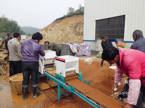 ������������æ