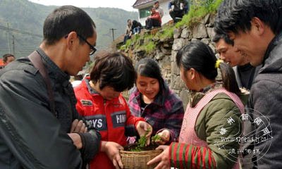 ���ſڵ��²�����