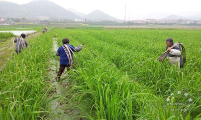 ���˴��� ׼������������