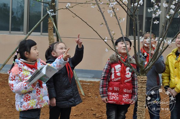 ��ϪСѧ����Сѧ�̿����ϳ��ֵ�ֲ�ﶼ�ֵ�У԰��