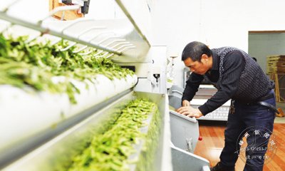 ����Ʈ�� �Զ������������