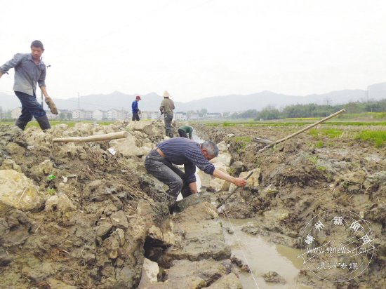 ����ˮ����ͼ��