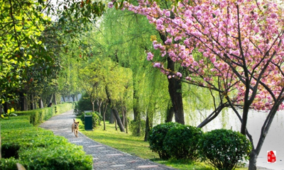 ���������㡿ӣ������