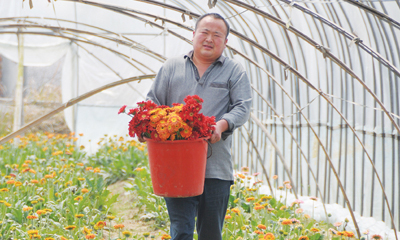 �������ֵ����л����� �չ��ʻ�������