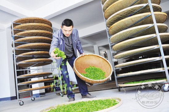 ǰ�ڻ԰�������