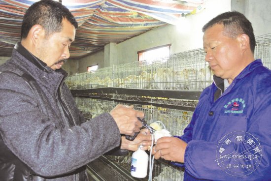 �ϸ�����ƶ� ȷ����ȫ��ֳ