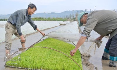 Ϊ�����絾��׼��