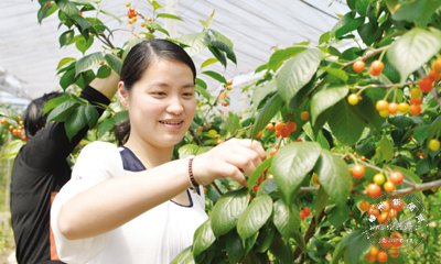 ӣ������ �۸�ÿ����Լ60Ԫ