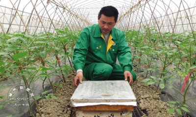 �����۷� �Ǹ������ڷ۵�