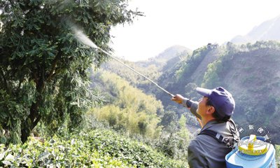 �˹��ڷ� ȷ����鼲���