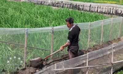 �������� ��������������