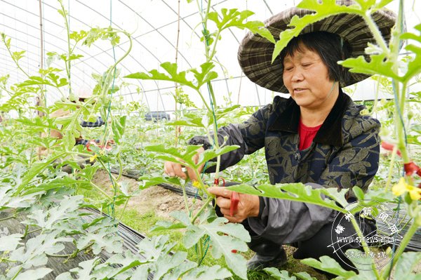 �����˹��ڷ� ��������