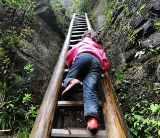 ����ɣֲѧ��ÿ���������ݡ�������ѧ