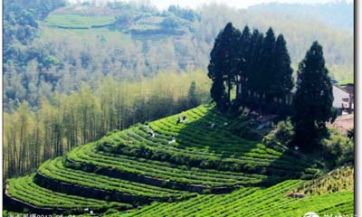 ���������㡿��Ժ�ɷ�