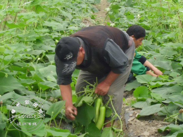 �����ѹ� Ķ����Ԫ