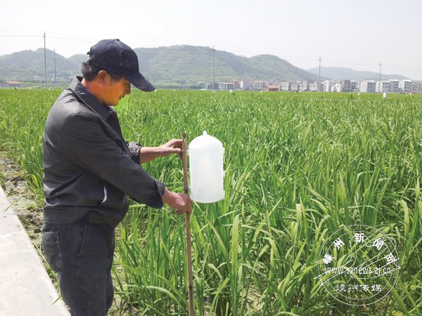 �������׻�����ɫ���ز��溦