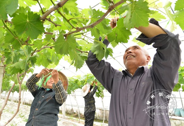 ����԰����֦æ