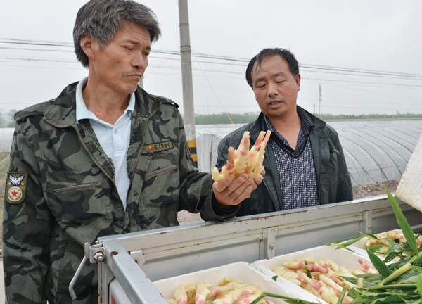 ���ؽ��������� ũ�м��δ����