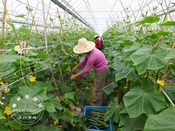 �����չ��Ϻ��л��߲�5000��