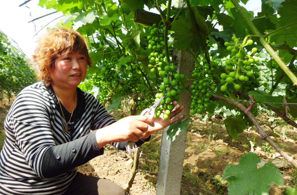 ��ũ������� ����������������