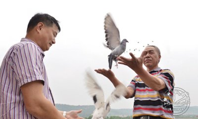 ��ʡ����Ÿ���� ��ֳ��ѵ���Ÿ�