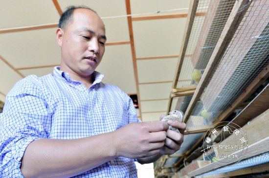 �г���ʼ���� ��ʥ����ֳ����������ֳ��ģ