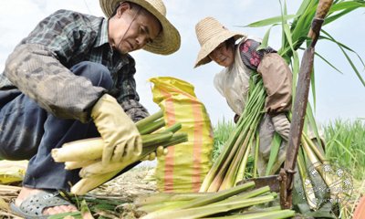 �������۽�������