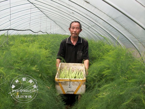 «����ֲ�����