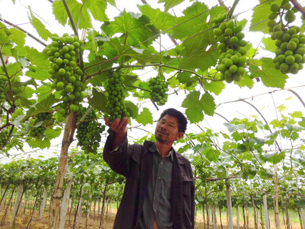 �������ѻ�������� �뱾����÷���г�