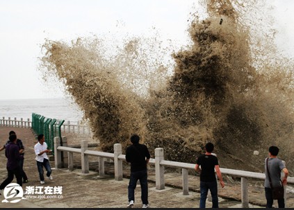 Ǯ���ĳ��� ӿ�������