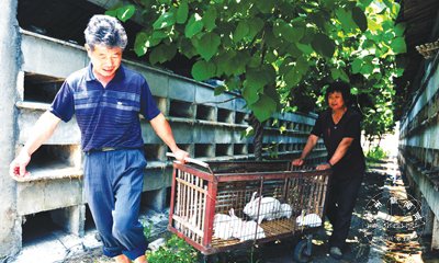 С����������Ȼ�յ�