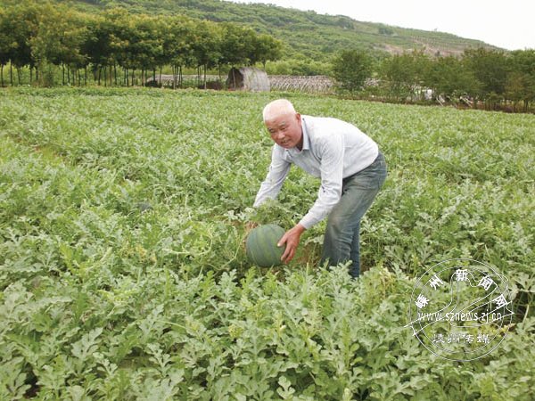 ����������������