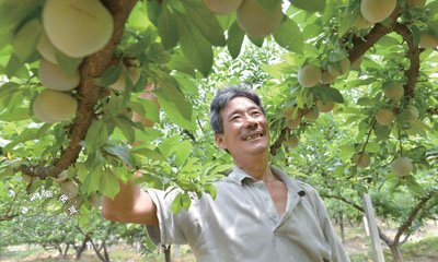 ��Ʒ�������������