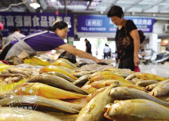 ���絽�߲�ˮ����δ�� ���С������