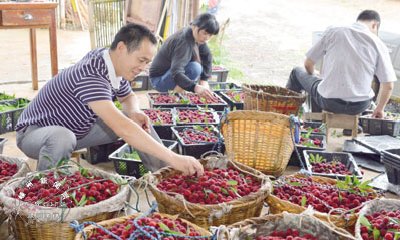 ������÷����