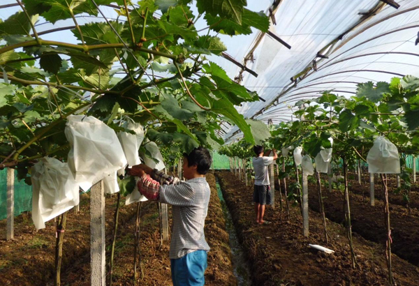 ��ũΪ���Ѵ��ϡ����¡�