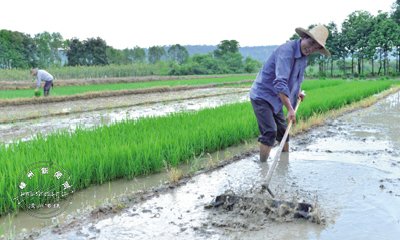 ������ �����Ͷ���ע������