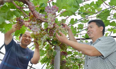 ���������� ÿ�����ۼ�Լ30Ԫ