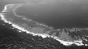 ��Ҫ��ȷ��