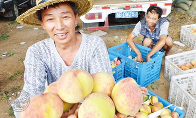 һ�����Ӱ���� ÿ�����չ���7Ԫ����