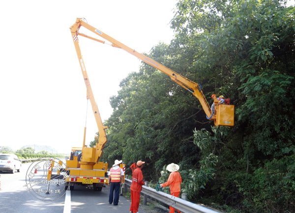 ������·������֦