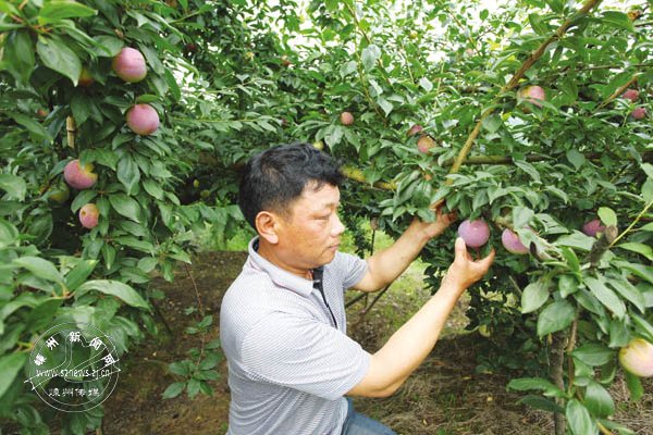 �������ˡ�ͼ��