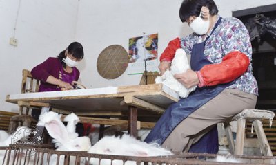 ������ë�չ��۸�ƽ��