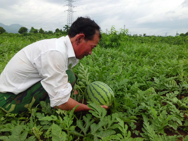 ����������ɽ��